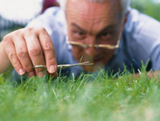 Obsesivno kompulzivna motnja