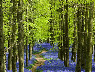 Kdaj k psihoterapevtu?